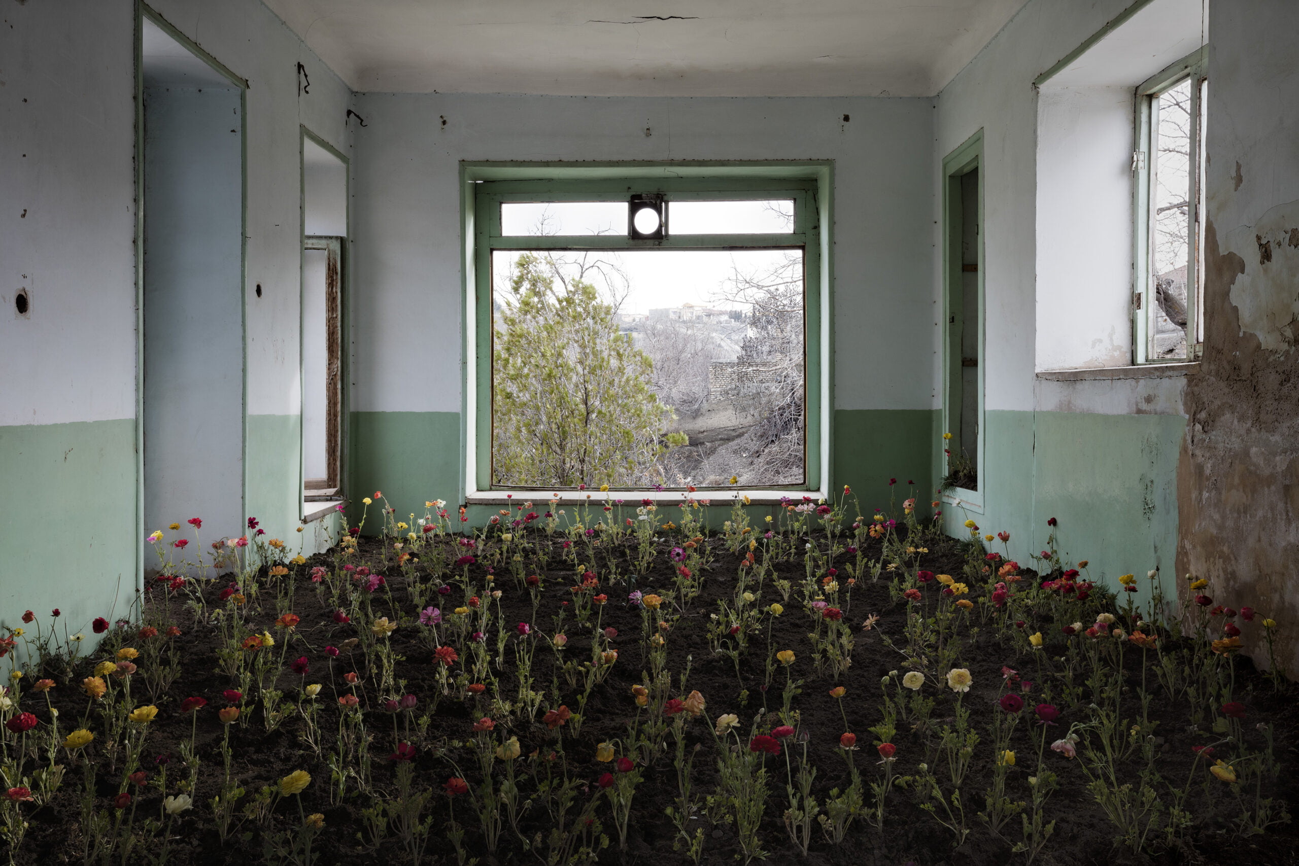 empty room full of flowers